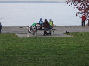 Alki Beach, Seattle, US