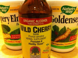 herbal supplements for treating bronchitis
