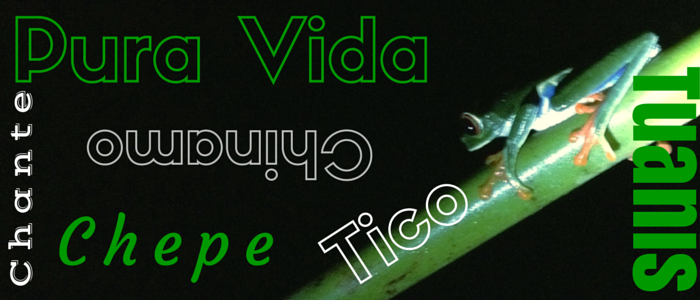 Pura Vida