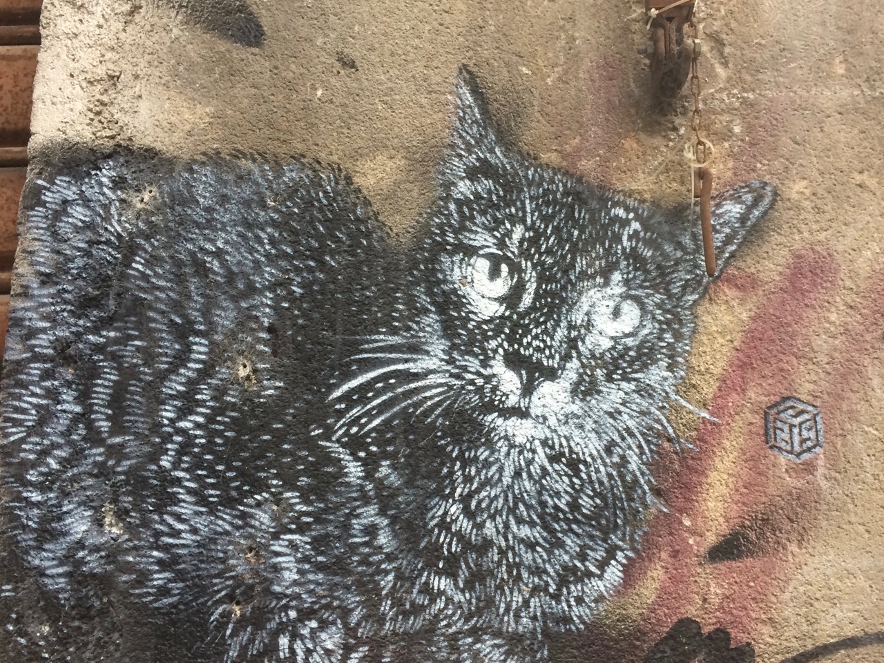 The Cat by C215