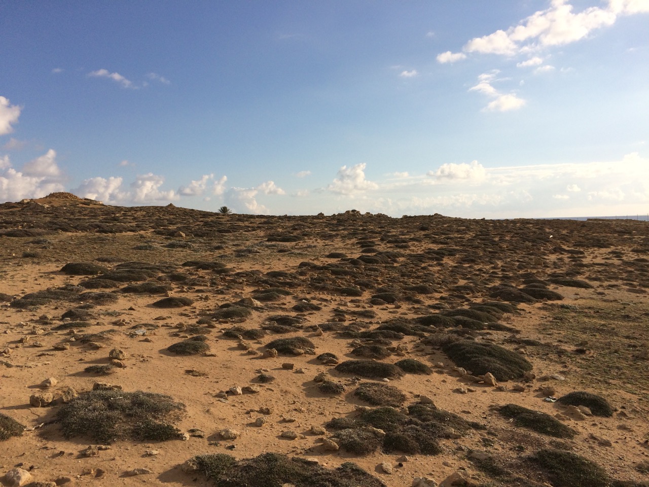 The Tombs of the Kings site