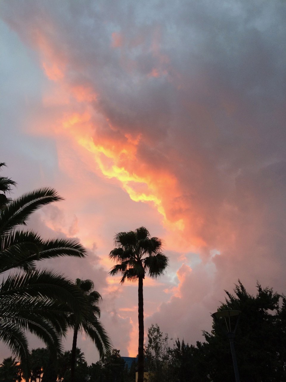 Just after the winter storm