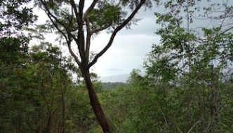Mount Jerai