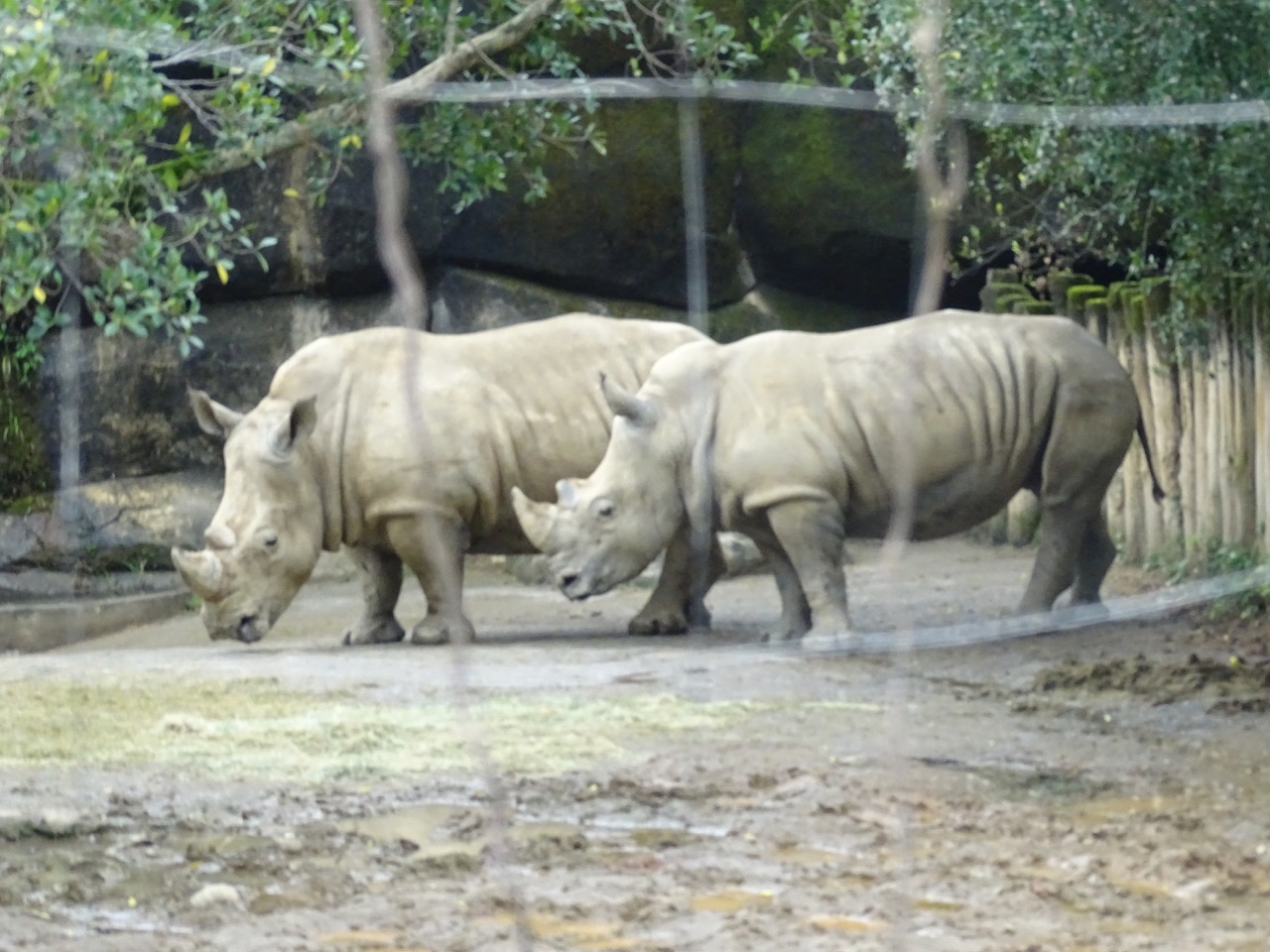 Lost in Taipei Zoo » Traveling Bytes