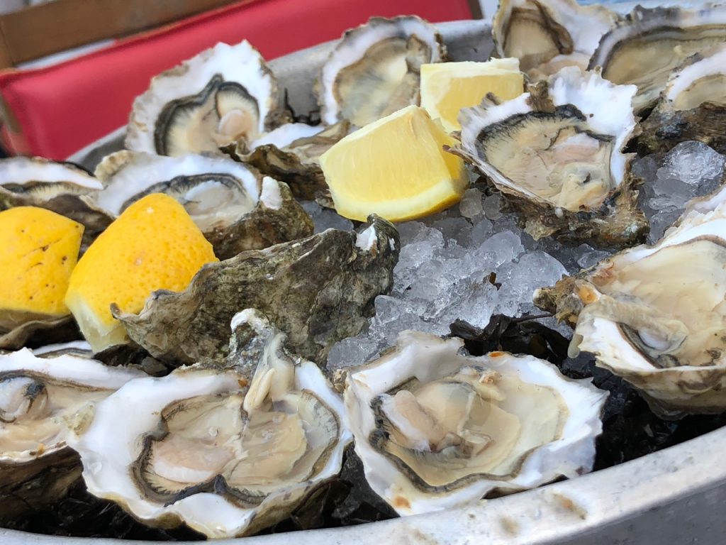 Oualidia, The Oyster Capital Of Morocco » Traveling Bytes