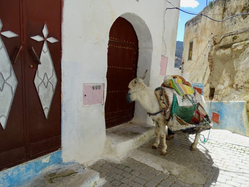 Moulay Idriss