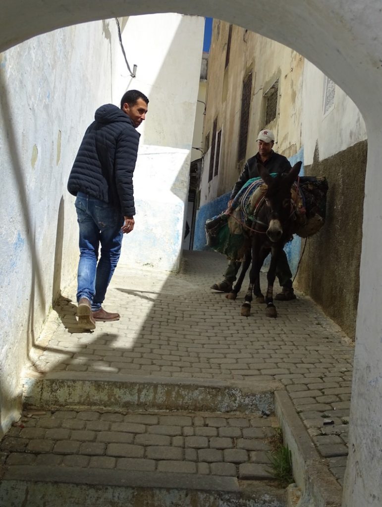 Moulay Idriss