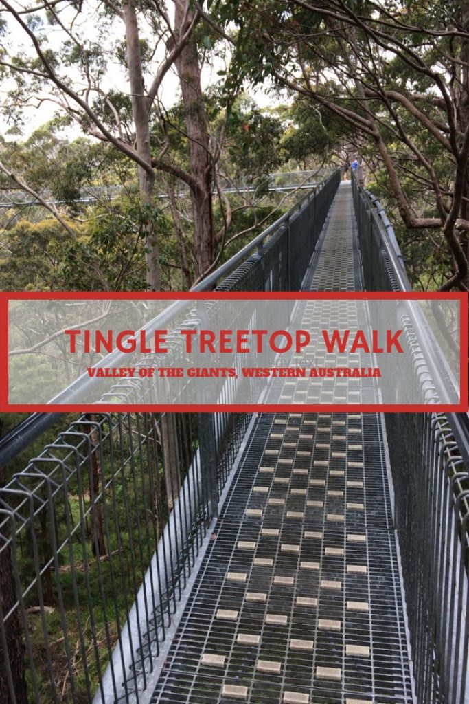 Tingle Treetop Walk