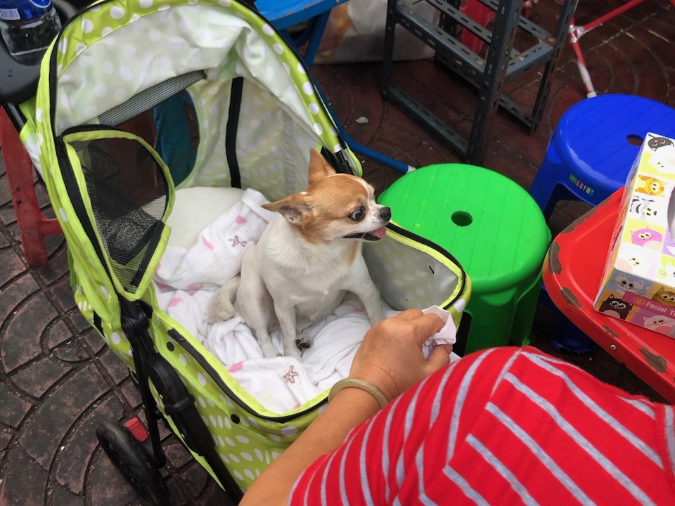 Making New Friends in Bangkok